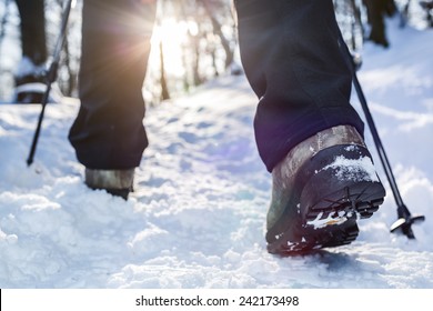 Winter Hiking.  Lens Flare, Shallow Depth Of Field.