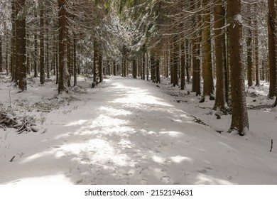 Winter Hiking Trail In The Thuringian Forest