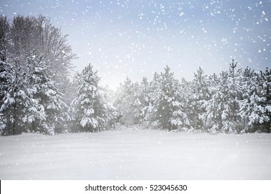 Winter holiday scene in snowing forest