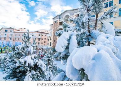 Winter Holidays In The Mountains Of Krasnaya Polyana