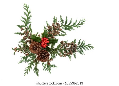 Winter holly, cedar cypress leaves, pine cone decoration forming a festive natural display element for Christmas &  New Year on white background. Flat lay, top view, copy space. - Powered by Shutterstock