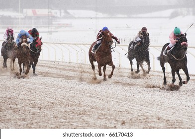 Winter Horse Racing