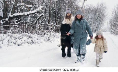 Winter Horse Ride. Horseback Riding At Winter. Family Horseback Ride On Snowy Winter Day. Happy Cutie, Little Girl Is Riding A Pony. Winter Family Activity Outdoors. High Quality Photo