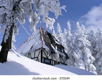 Winter House