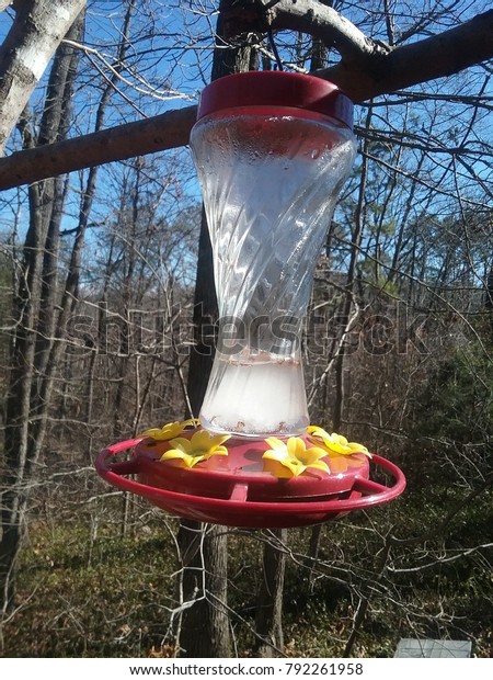 Winter Hummingbird Feeder Stock Photo Edit Now 792261958