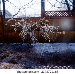 Winter Ice And A Broken Wood Fence 