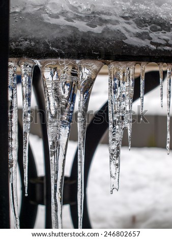 Winter iceicle 