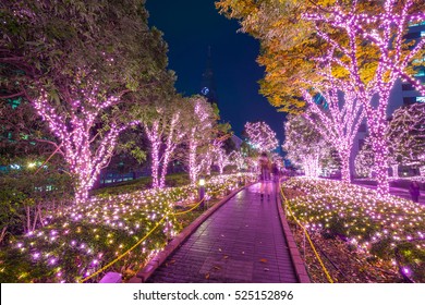 Winter Illumination In Tokyo At Shinjuku District, Japan