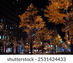 Winter illuminations in Osaka, Japan