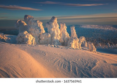 Winter in Jeseniky Mountains in Czech Republic. A huge amounts of snow in photography. - Shutterstock ID 1637565961