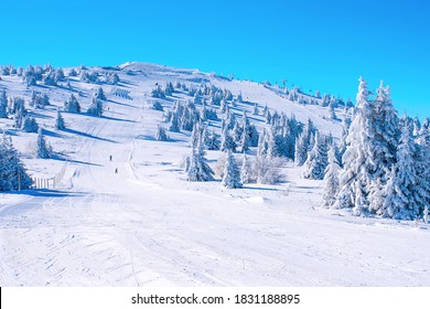 Winter Kopaonik, Serbia panorama of the slope at ski resort, people skiing, snow pine trees, blue sky - Powered by Shutterstock