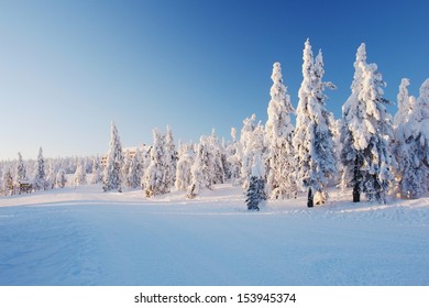 Winter In The Krkonose Mountains, Czech Republic