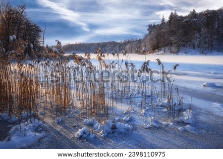 A winter lake covered with ice, a fairy-tale atmosphere, winter. Poland, around Otomin