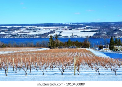 Winter Lakeshore Landscape Along Seneca Lake, In The Heart Of Finger Lakes Wine Country, New York. Seneca Lake Is The Deepest Lake Entirely Within The State. 