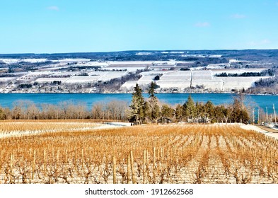 Winter Lakeshore Landscape With Vineyard Along Seneca Lake, In The Heart Of Finger Lakes Wine Country, New York. Seneca Lake Is The Deepest Lake Entirely Within The State. 