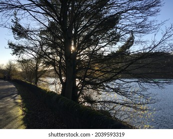 Winter lakeside scenery at sunset