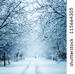 Winter landscape