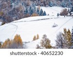 winter landscape
