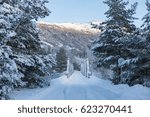 winter landscape