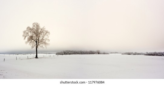 Winter Landscape - Powered by Shutterstock - Get 15% off with code: PIKWIZARD15
