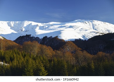 Winter landscape 