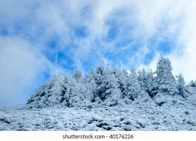 winter landscape
