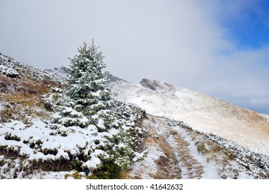 winter landscape