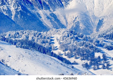 winter landscape
