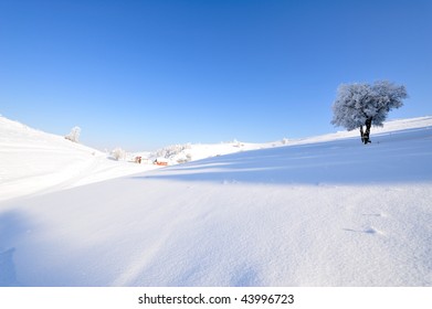 winter landscape