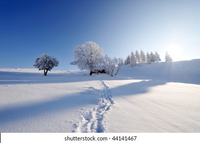 Winter Landscape Wallpaper Stock Photos Images Photography Shutterstock