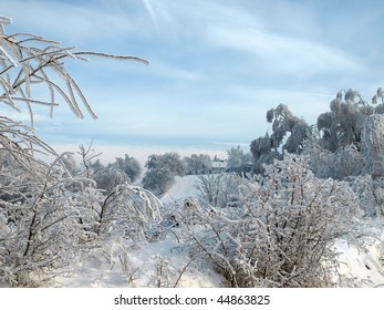  winter landscape