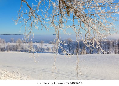 Winter landscape