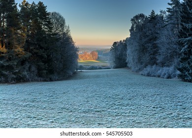 Winter landscape.