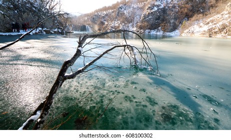 winter landscape