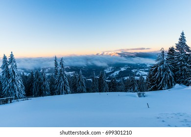Winter landscape