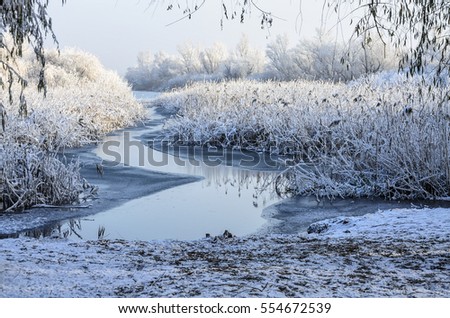 Similar – Image, Stock Photo quiet winter landscape