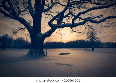 Winter Landscape With Abandoned Tree Swing. Solitude Concept. Toned Photo.