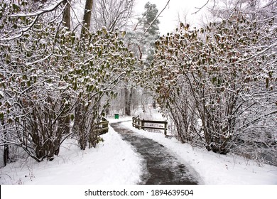 The Winter Landscape Of Ada Park In Grand Rapids, Michigan