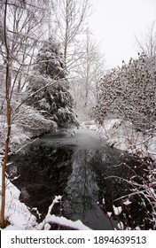 The Winter Landscape Of Ada Park In Grand Rapids, Michigan