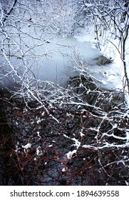 The Winter Landscape Of Ada Park In Grand Rapids, Michigan