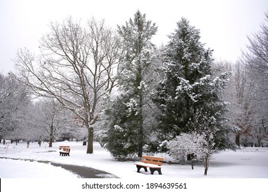 The Winter Landscape Of Ada Park In Grand Rapids, Michigan