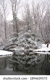 The Winter Landscape Of Ada Park In Grand Rapids, Michigan