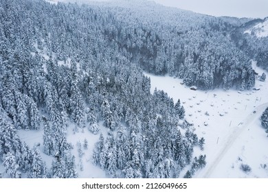 Winter landscape. Aerial view of snowy forest. Video shoot with zoom out camera movement. GOLCUK NATURE PARK in Bolu, Turkey.
