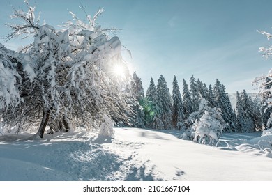 Winter Landscape In The Allgäu Alps