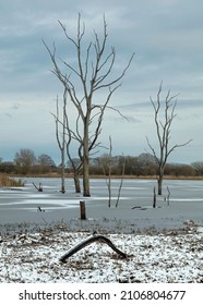 A Winter Landscape At Arcot Pond In Northumberland, England.