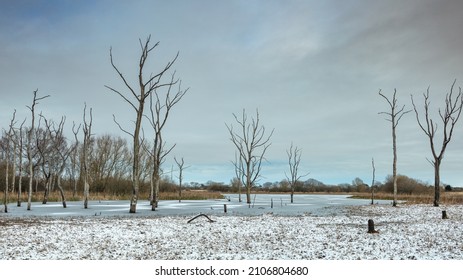 A Winter Landscape At Arcot Pond In Northumberland, England.