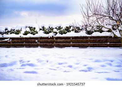 Winter landscape. Backyard in winter. Snow-covered fence and thuja brabant and bird feeder. - Powered by Shutterstock