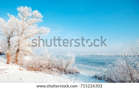 winter landscape, beach winter river and trees in hoarfrost, sunny winter landscape, frozen river in the winter, turquoise blue sunny sky, lake, ice