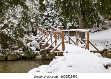 Winter landscape, beautiful winter nature: fast mountain river flows among a snowy coniferous forest. Bela river near Podbanske village. High Tatras. Slovakia. 