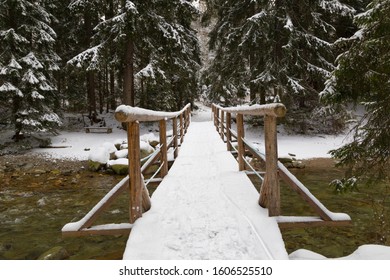 Winter landscape, beautiful winter nature: fast mountain river flows among a snowy coniferous forest. Bela river near Podbanske village. High Tatras. Slovakia. 